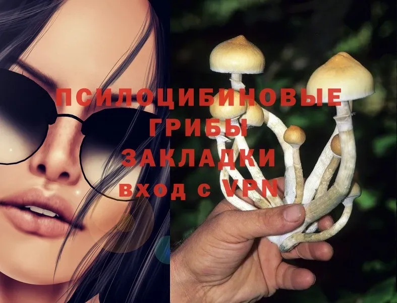 ссылка на мегу рабочий сайт  Солигалич  Псилоцибиновые грибы Magic Shrooms 